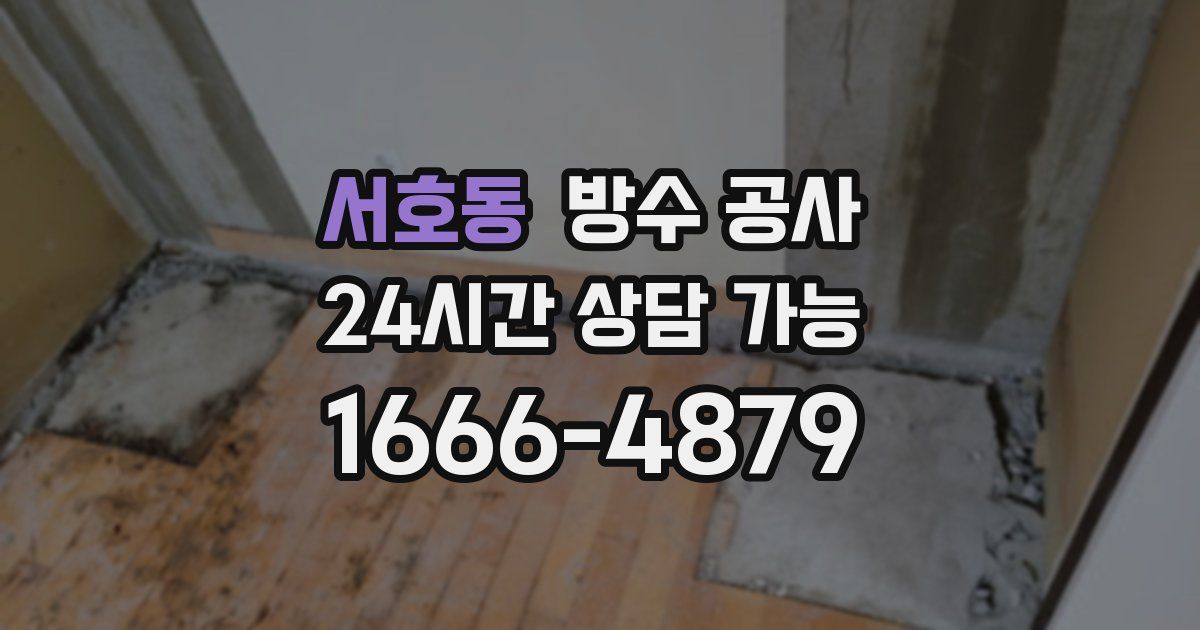 서호동 누수탐지