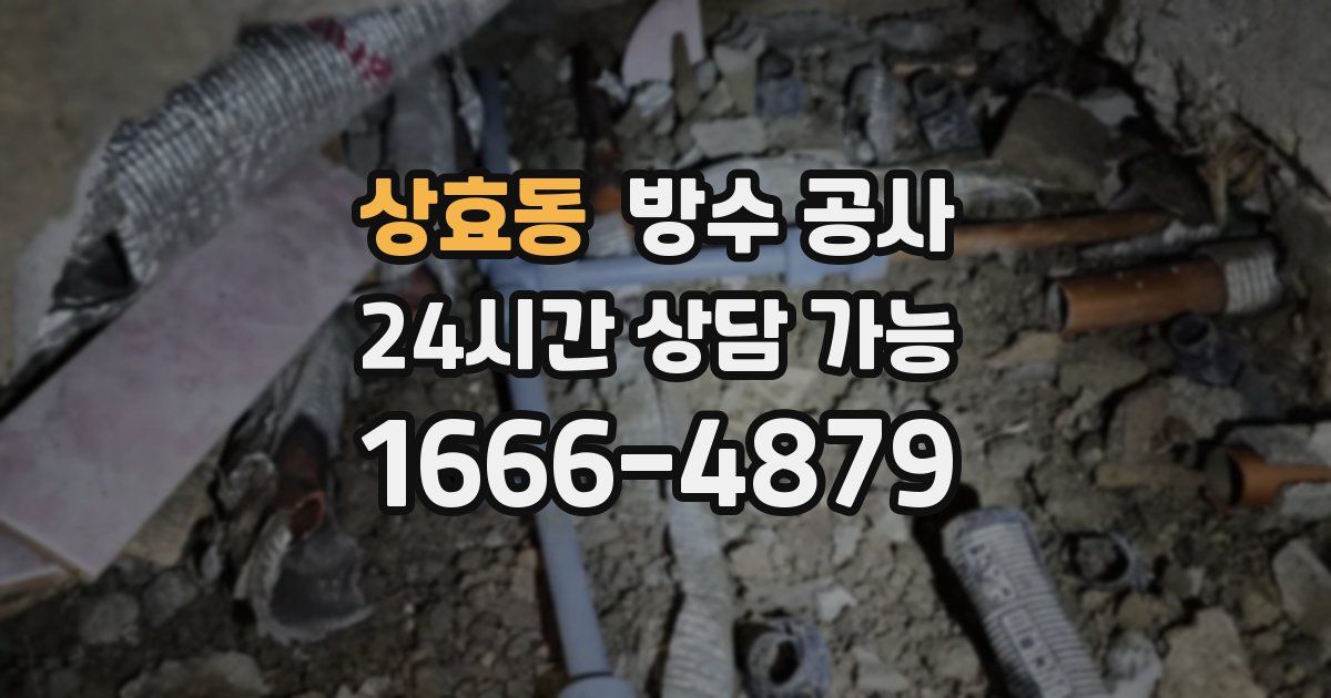 상효동 누수탐지