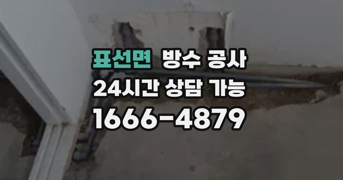 표선면 누수탐지