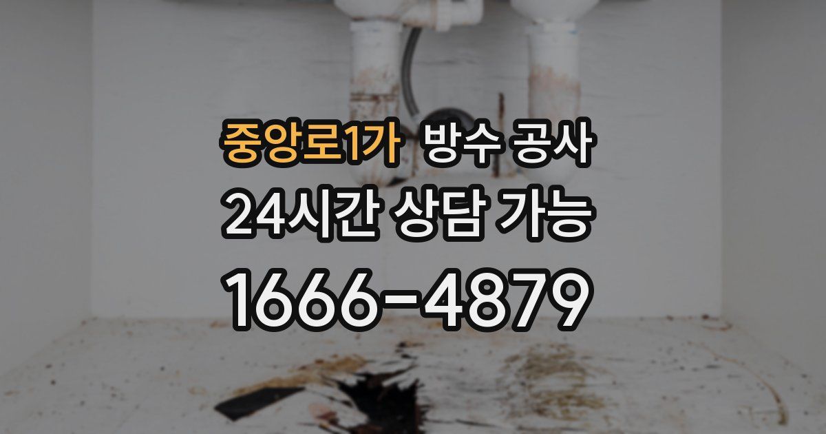 중앙로1가 누수탐지
