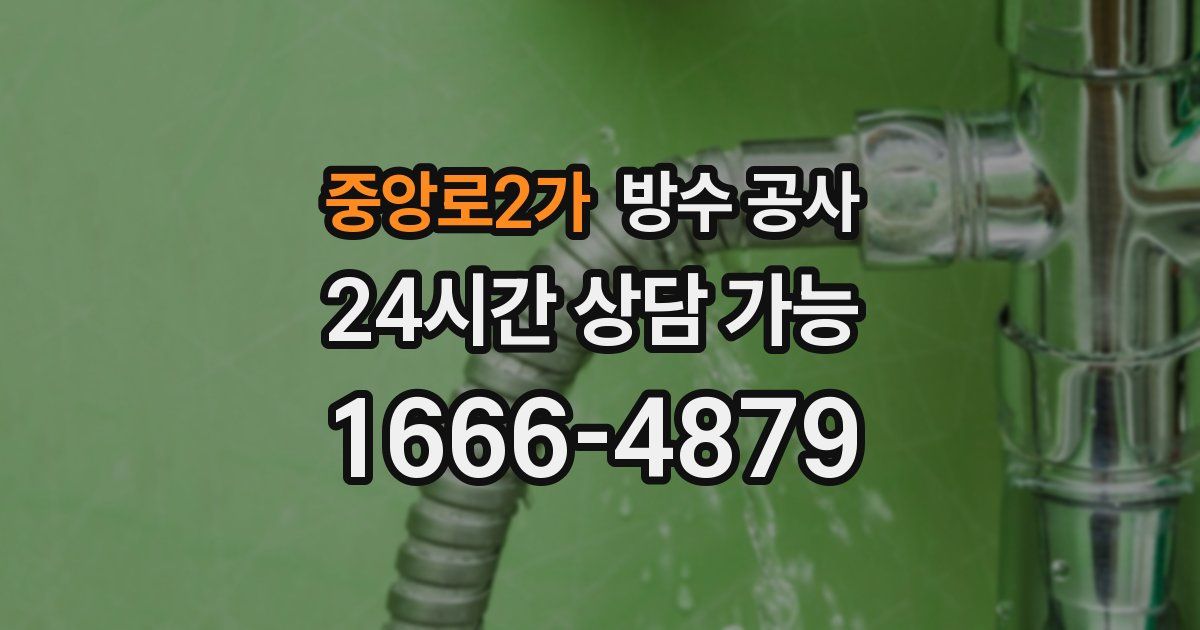 중앙로2가 누수탐지