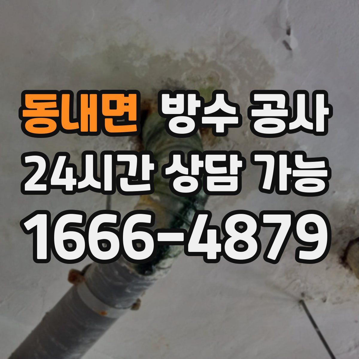 동내면 방수