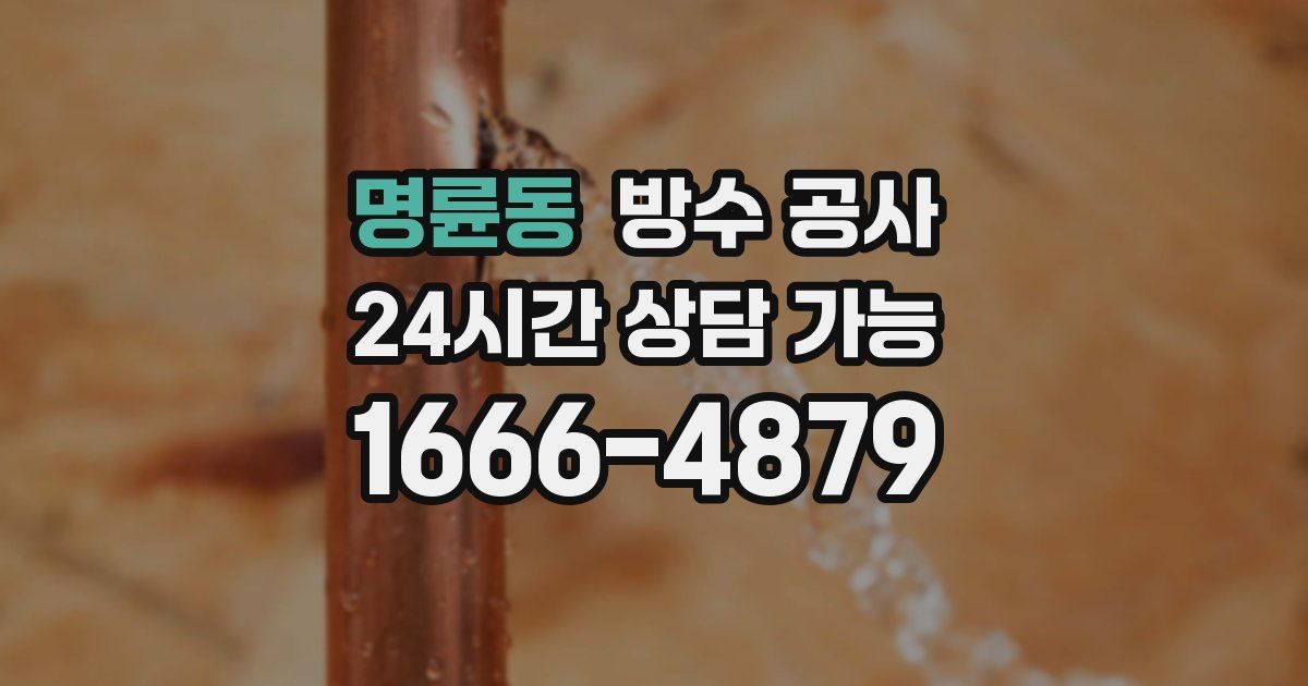 명륜동 누수탐지