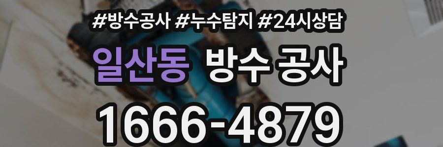 일산동 방수 공사