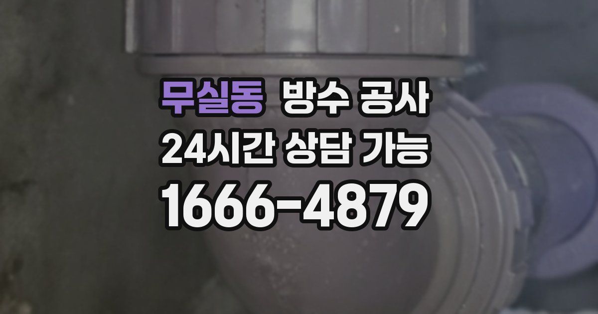 무실동 누수탐지