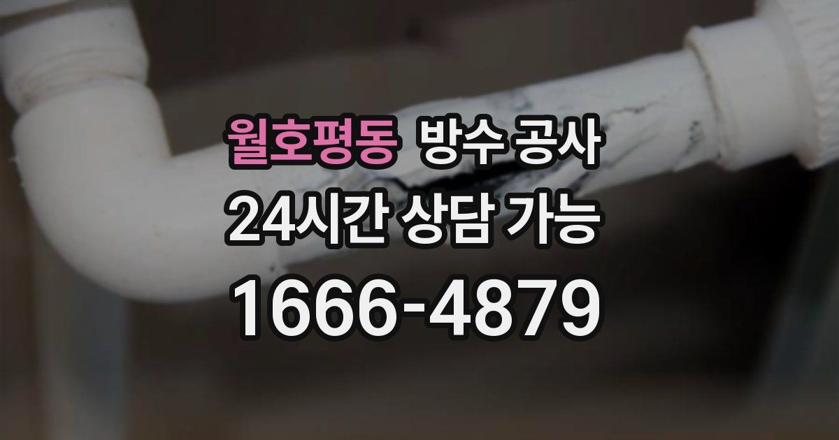 월호평동 누수탐지