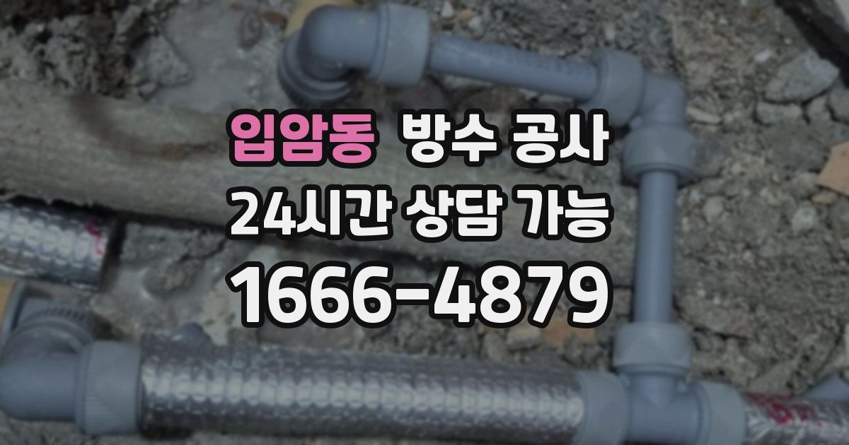 입암동 누수탐지