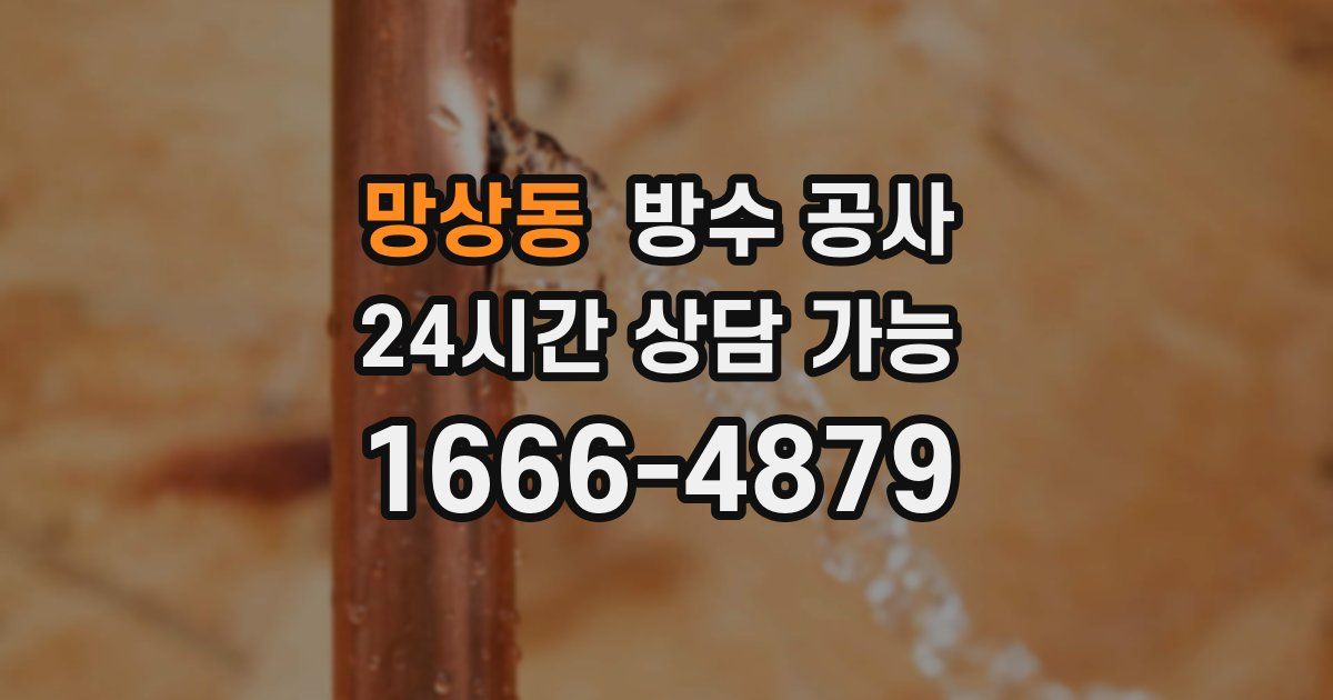 망상동 누수탐지