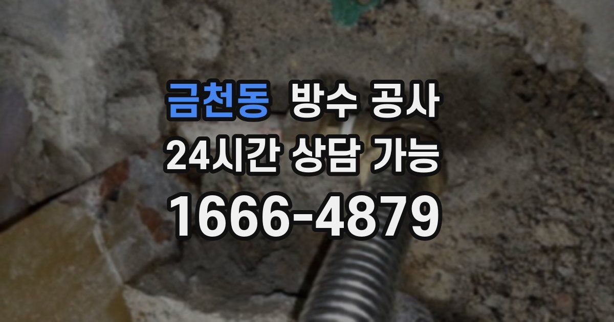 금천동 누수탐지