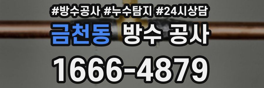 금천동 방수 공사