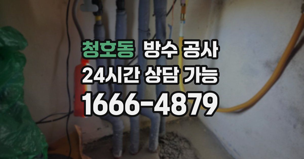 청호동 누수탐지