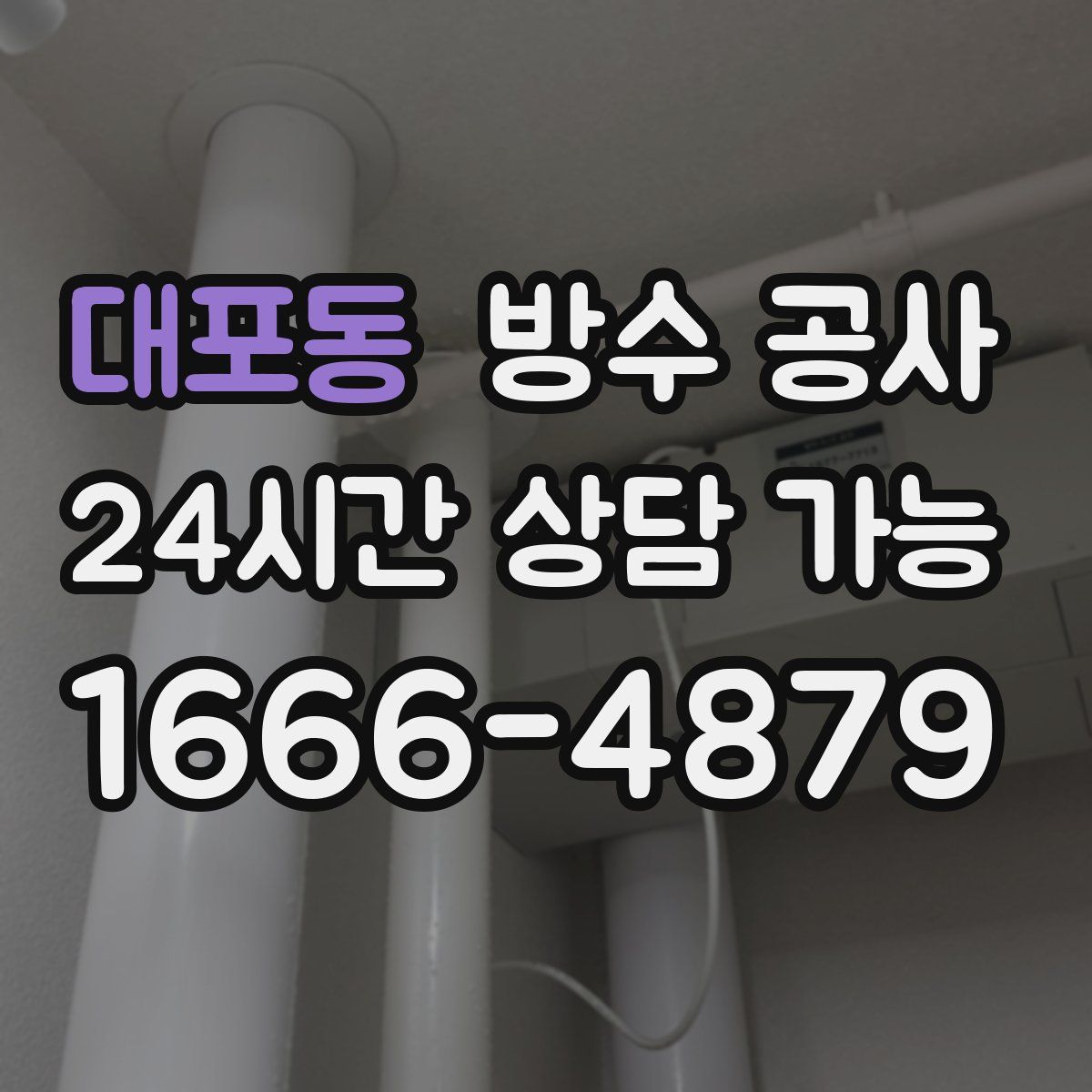 대포동 방수