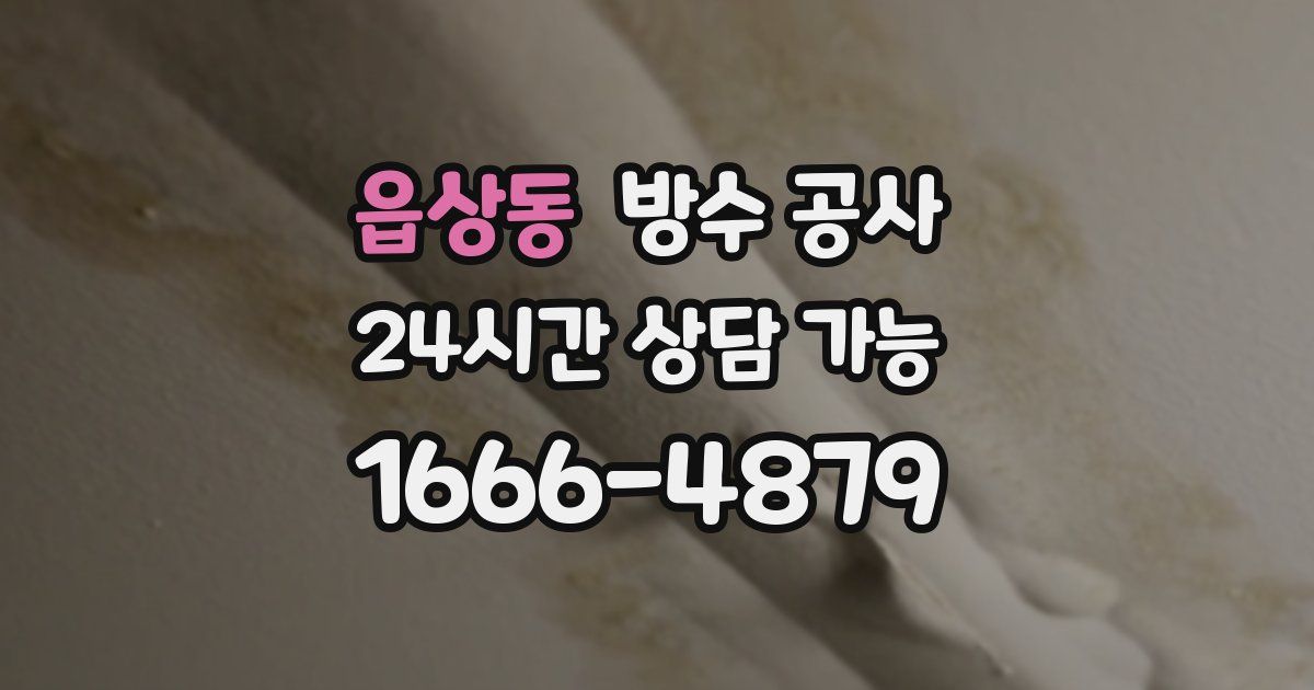 읍상동 누수탐지