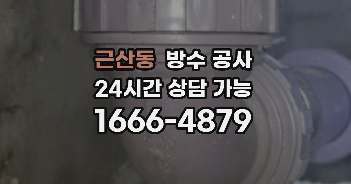 근산동 누수탐지