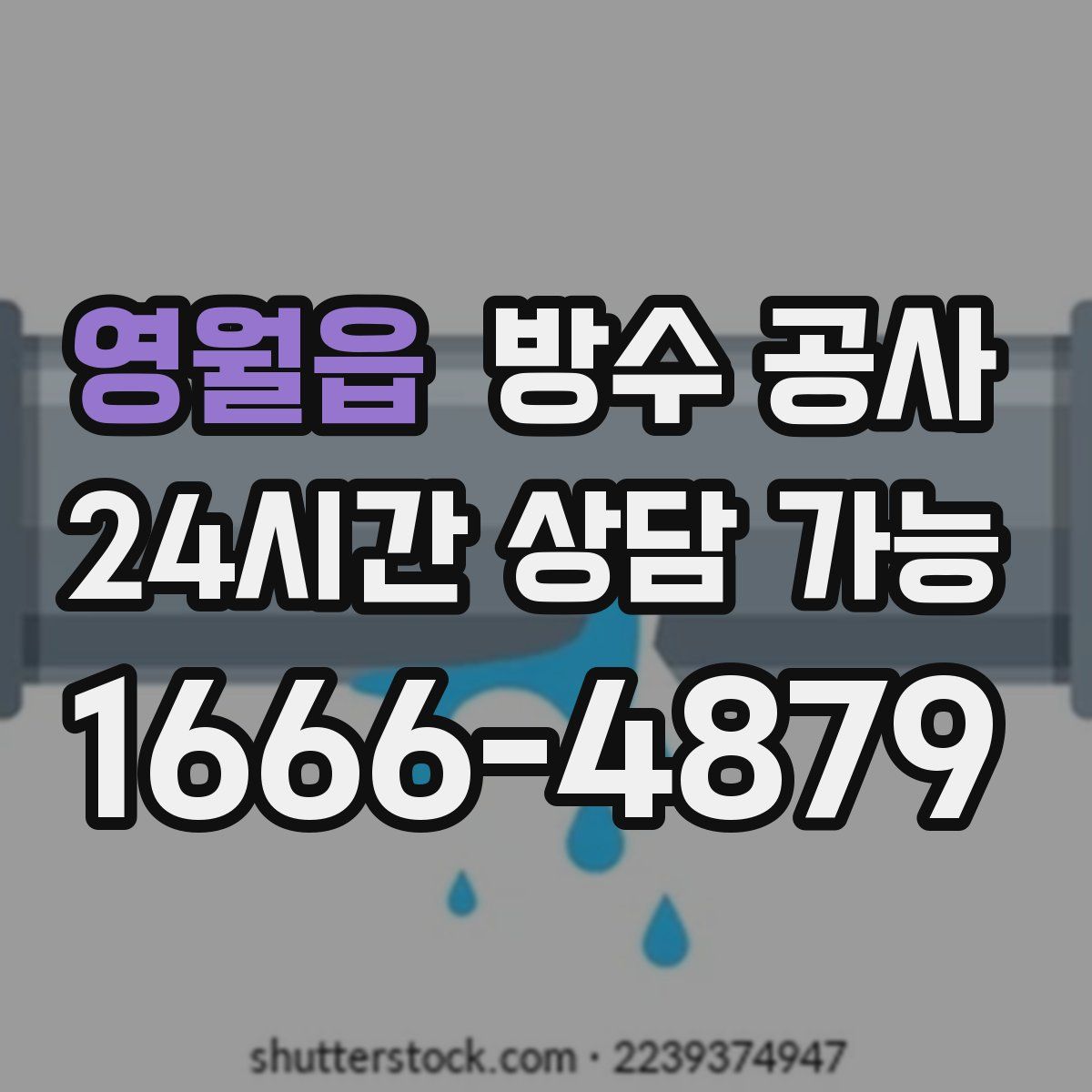 영월읍 방수