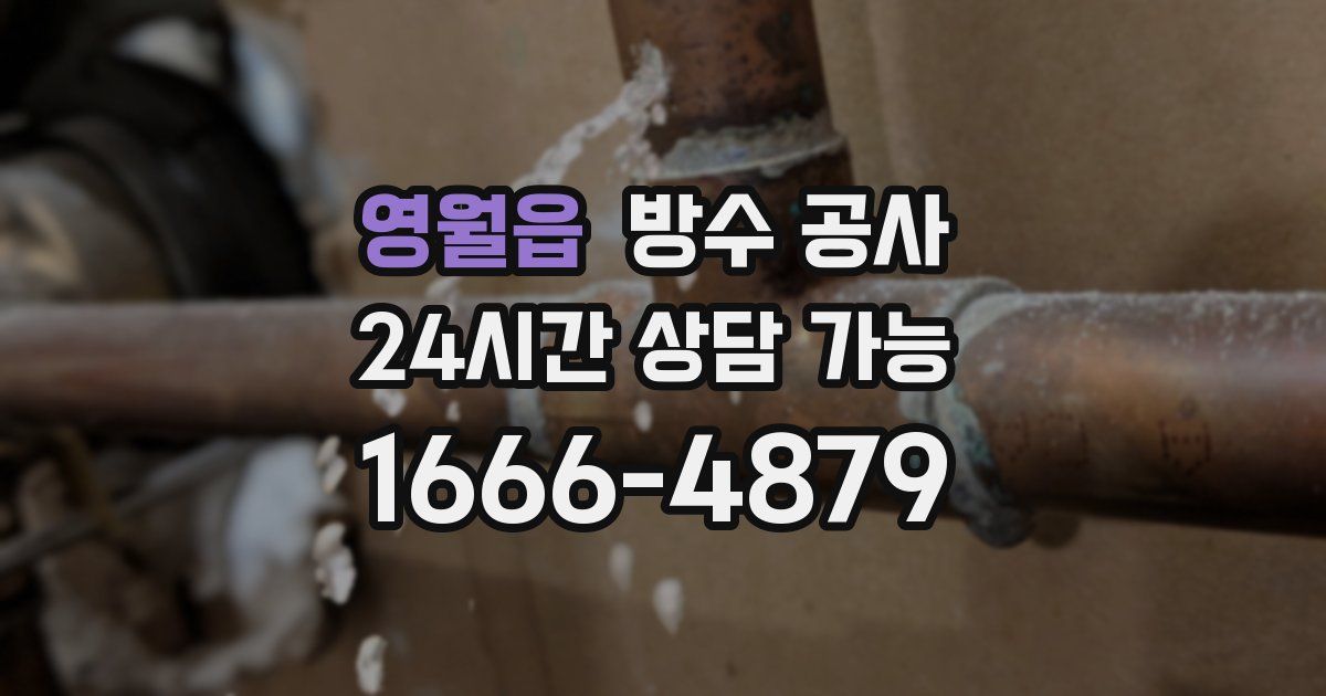 영월읍 누수탐지