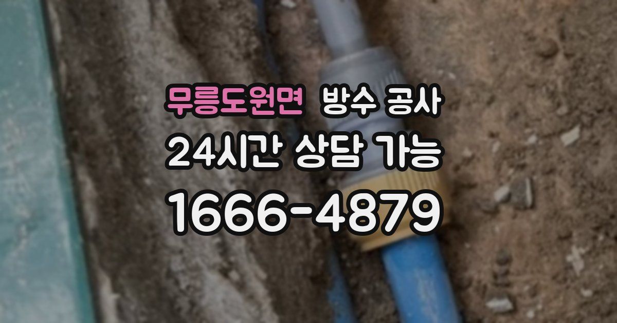 무릉도원면 누수탐지