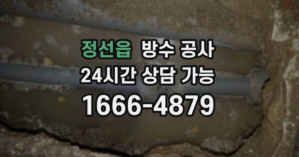 정선읍 누수탐지