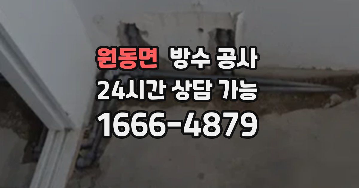 원동면 누수탐지
