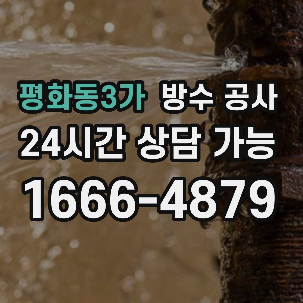 평화동3가 방수