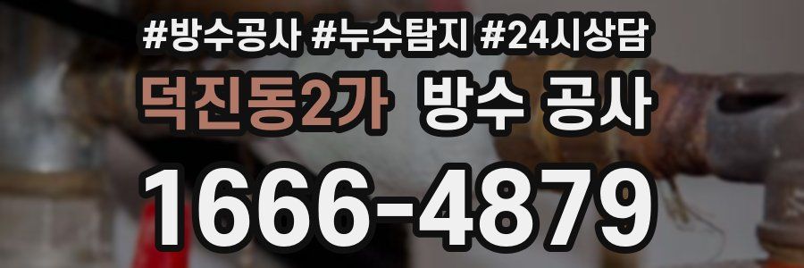 덕진동2가 방수 공사