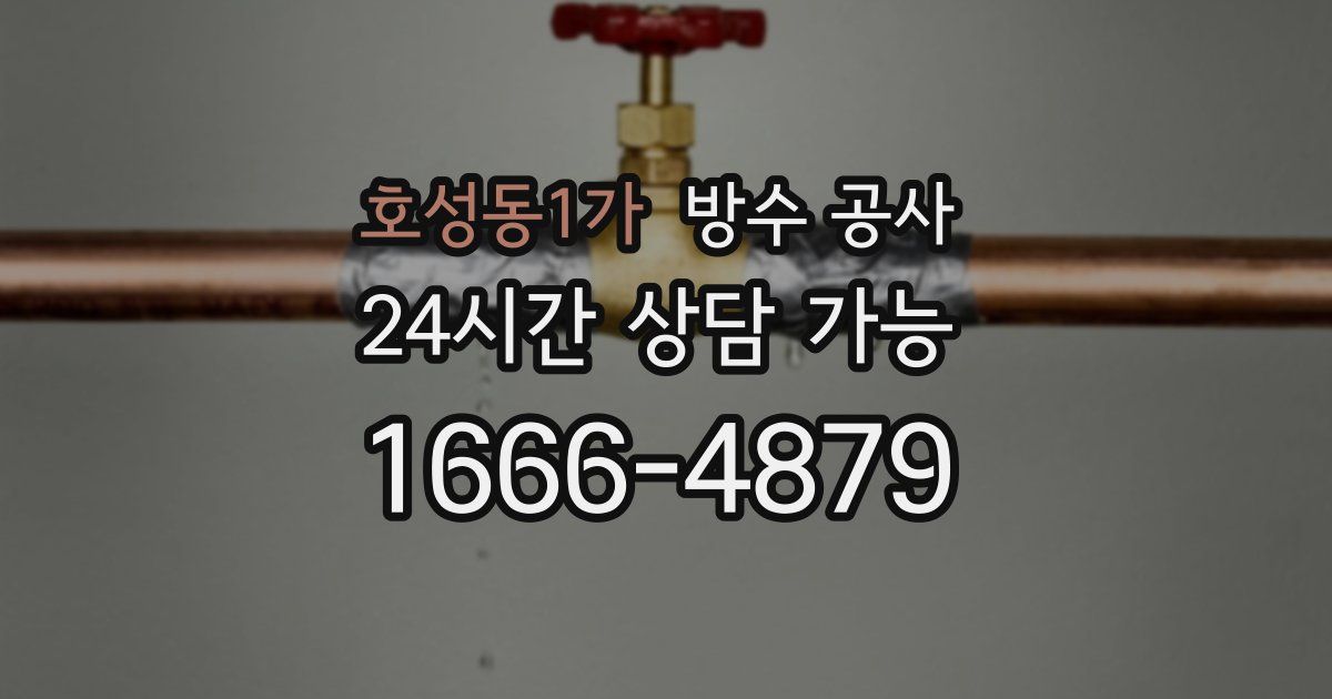 호성동1가 누수탐지