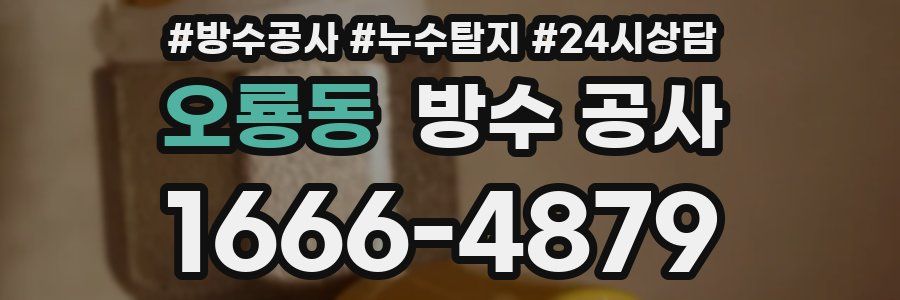 오룡동 방수 공사