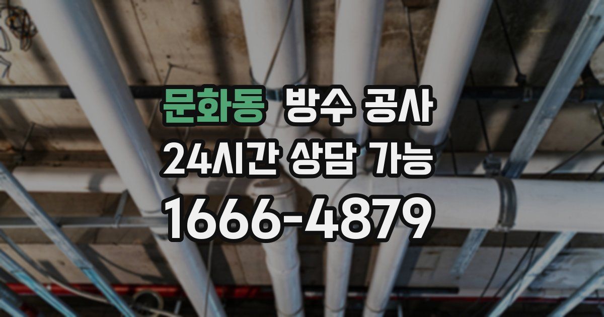 문화동 누수탐지