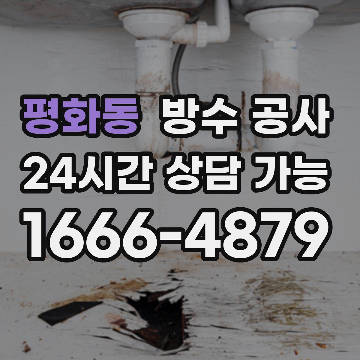 평화동 방수