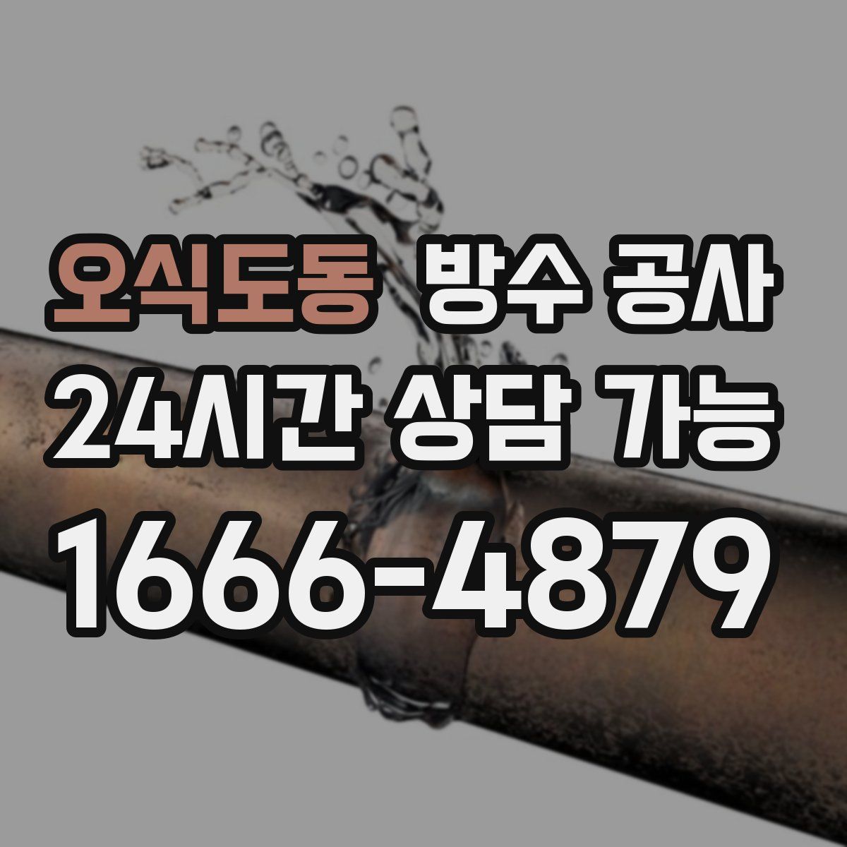 오식도동 방수