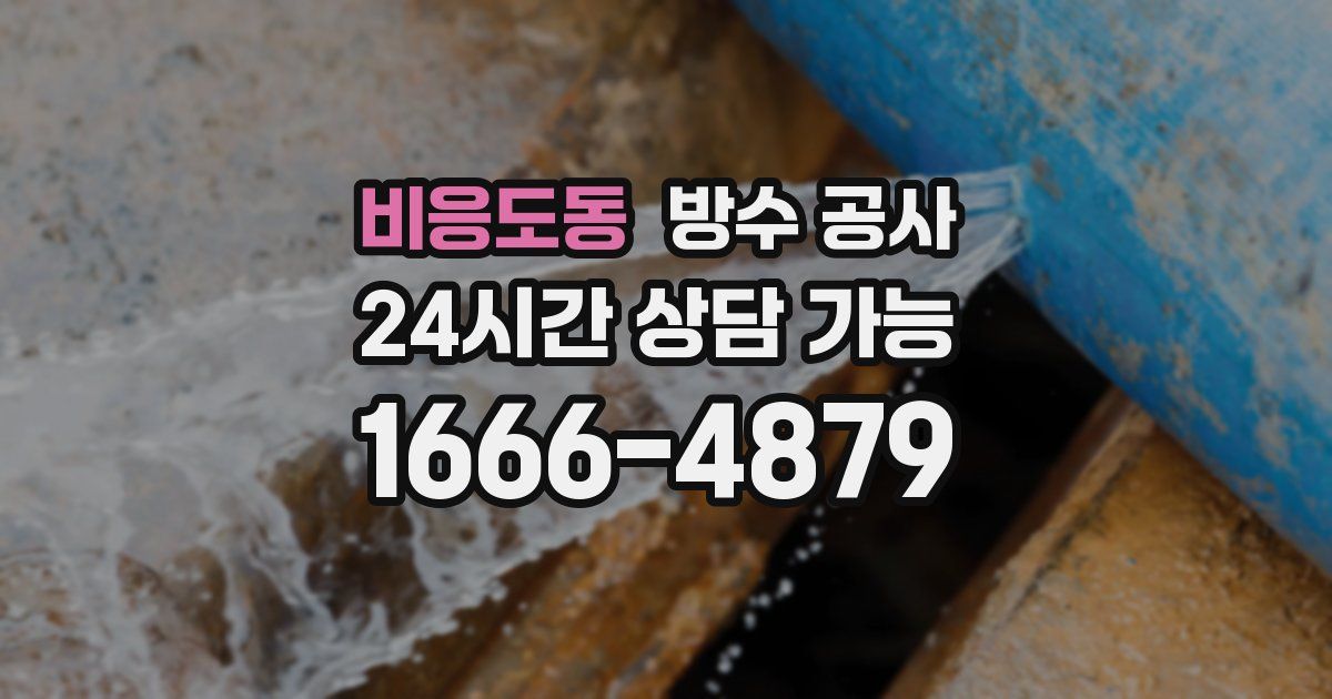 비응도동 누수탐지