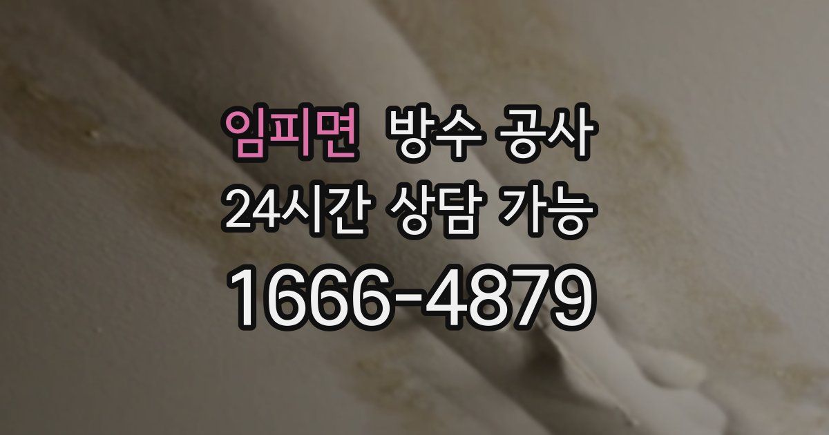 임피면 누수탐지