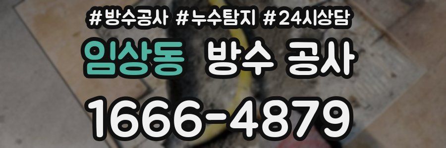 임상동 방수 공사