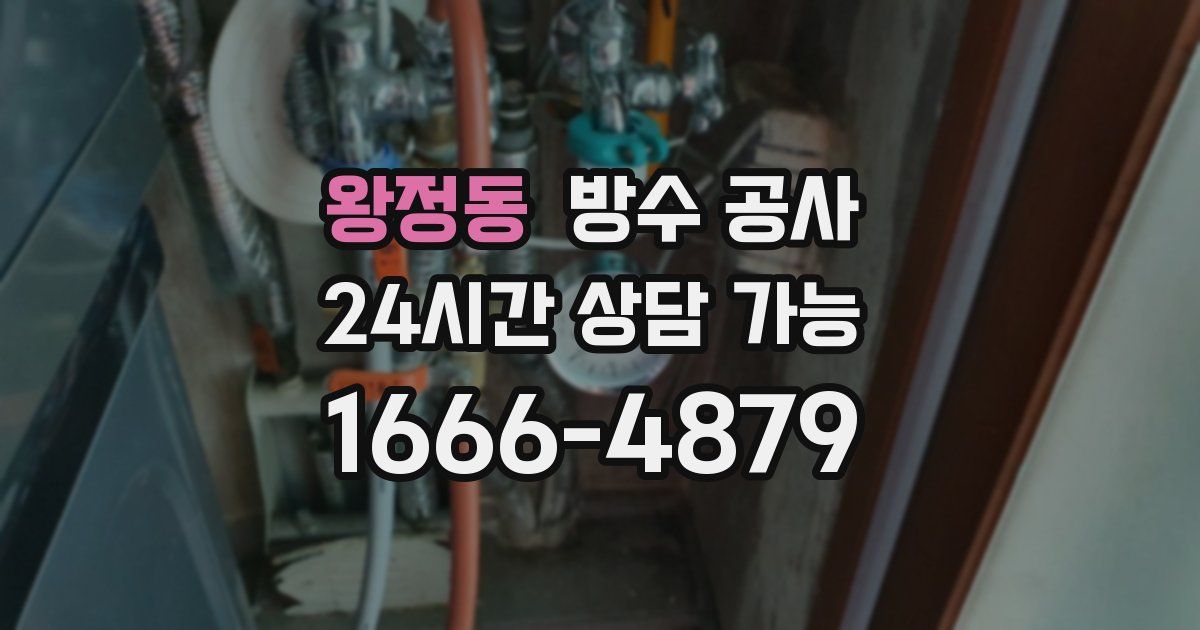 왕정동 누수탐지