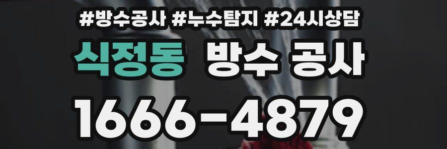 식정동 방수 공사