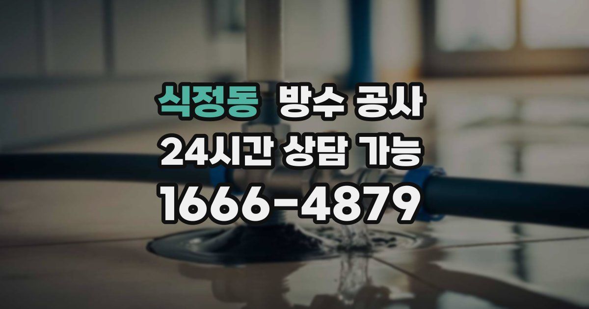 식정동 누수탐지