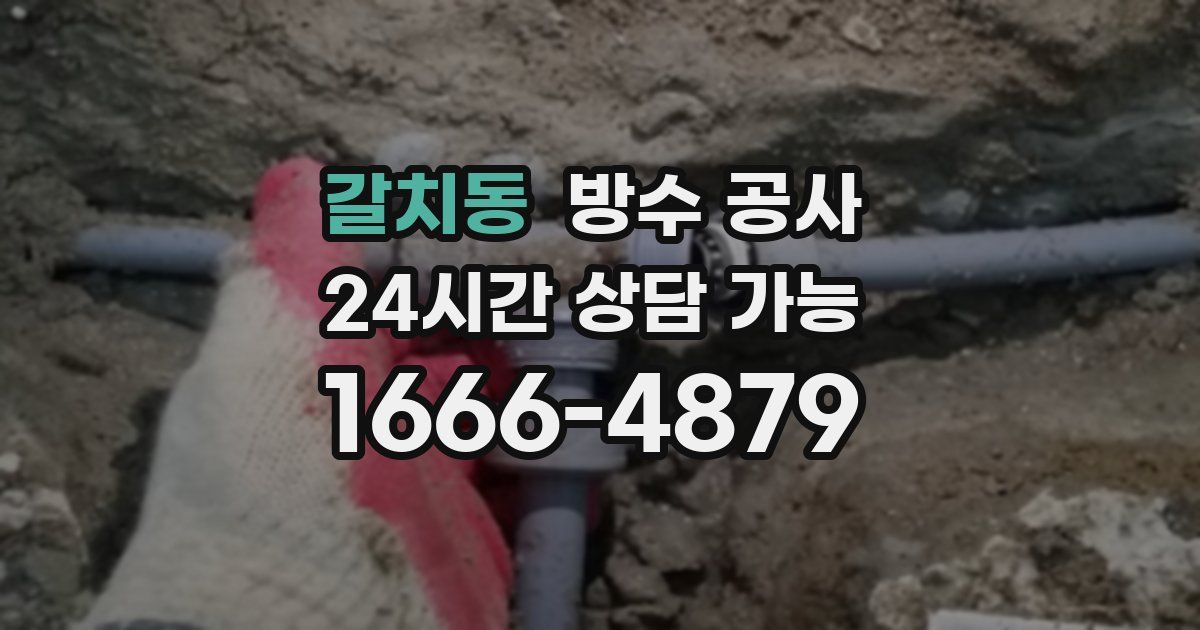 갈치동 누수탐지