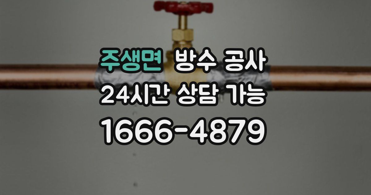 주생면 누수탐지