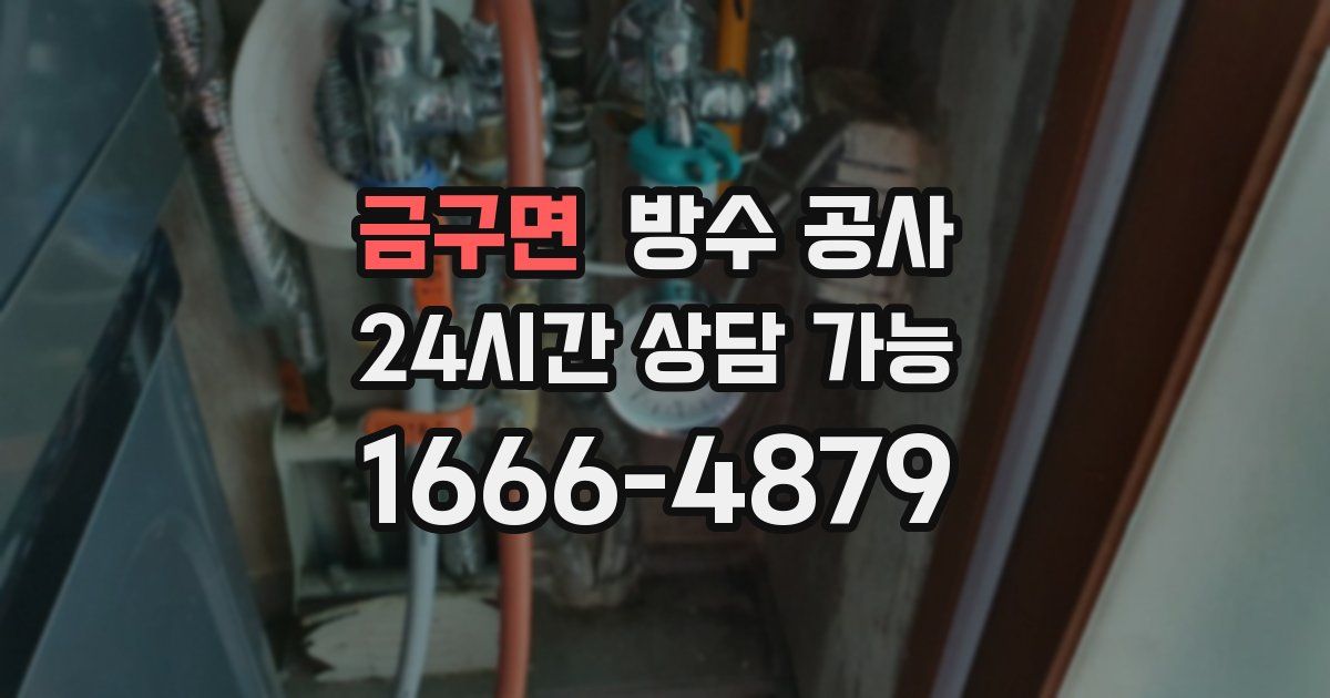 금구면 누수탐지