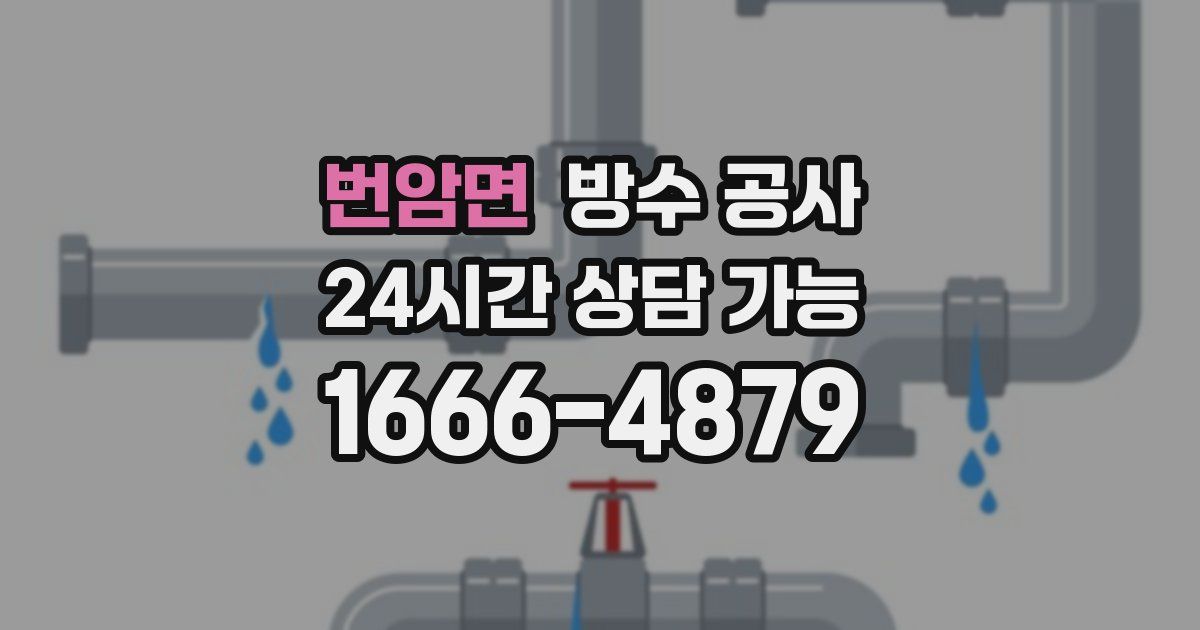 번암면 누수탐지