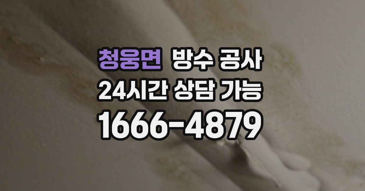 청웅면 누수탐지