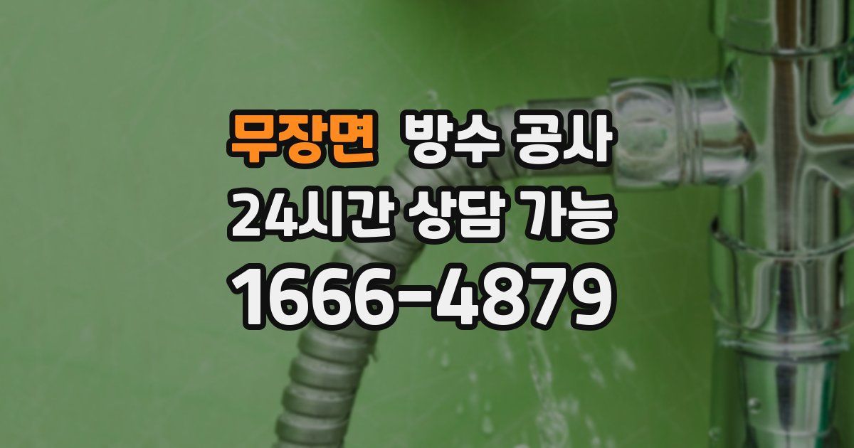 무장면 누수탐지