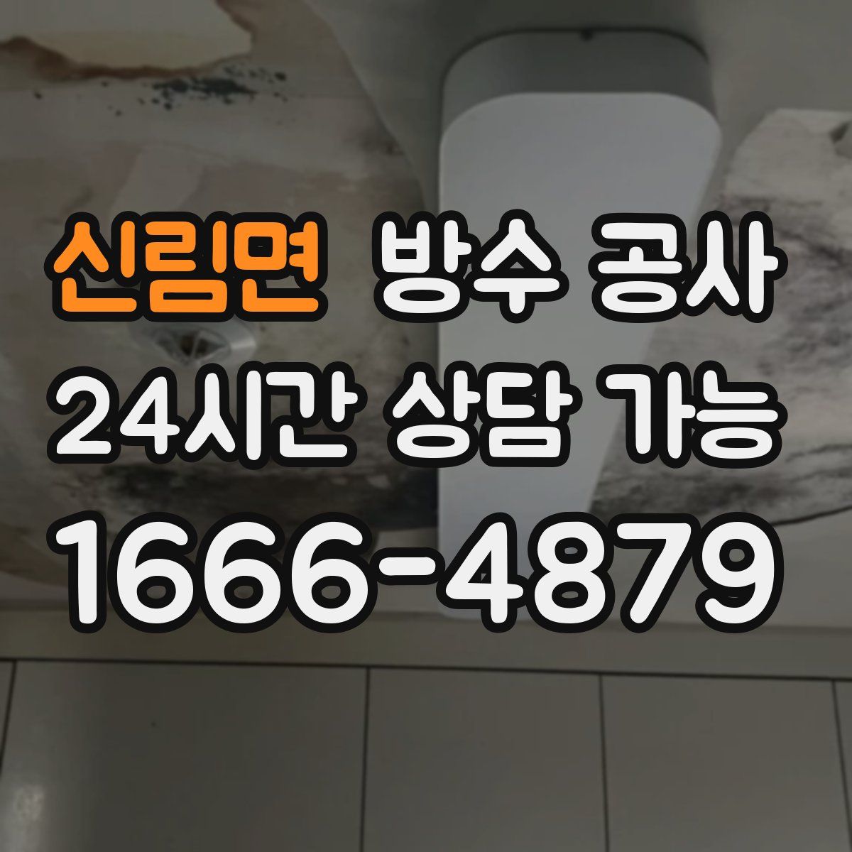 신림면 방수