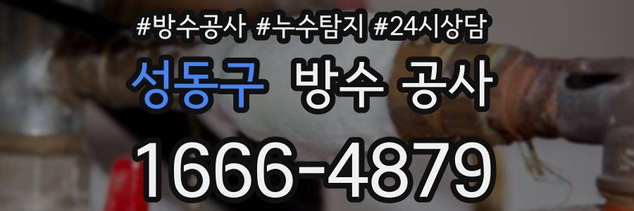 성동구 방수 공사