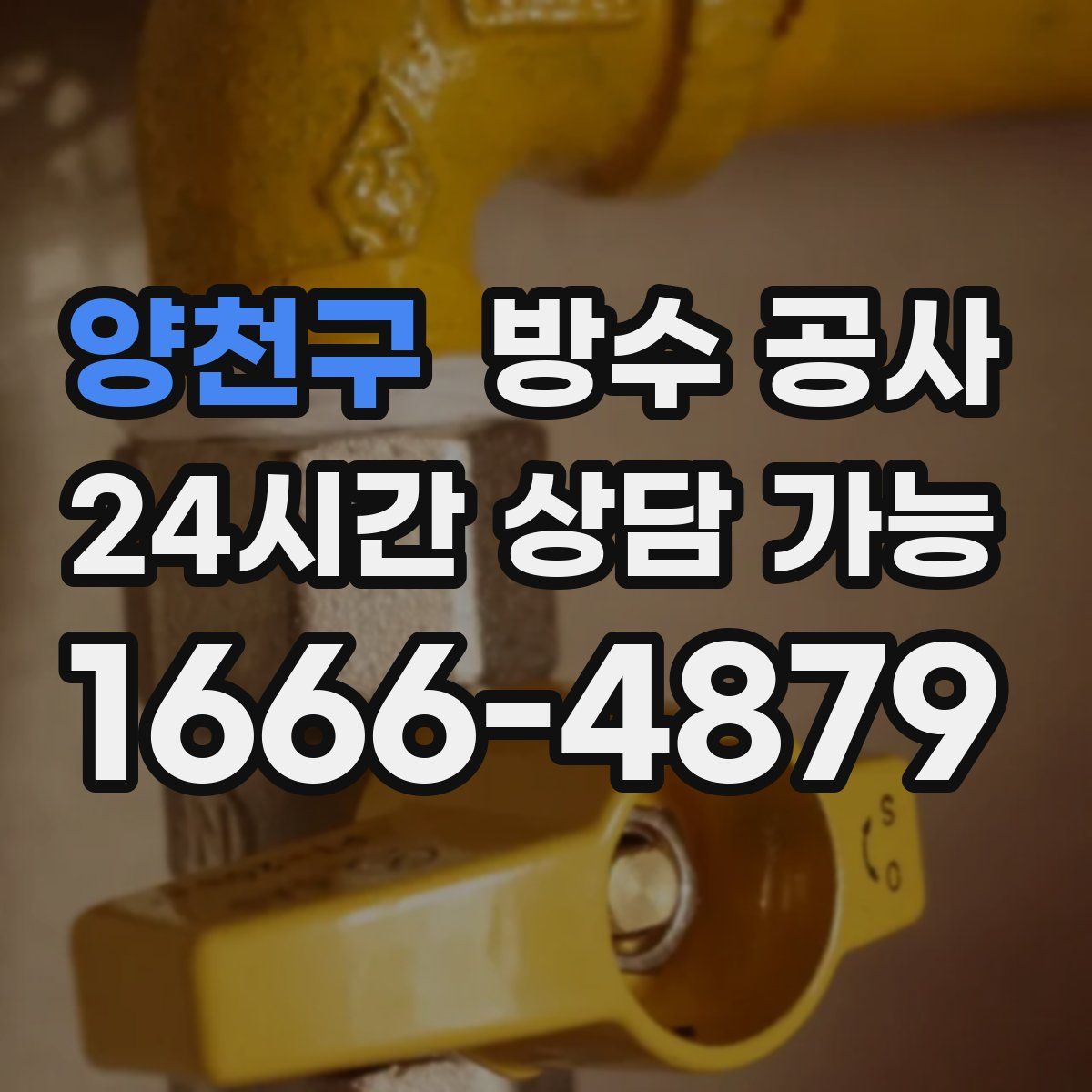 양천구 방수