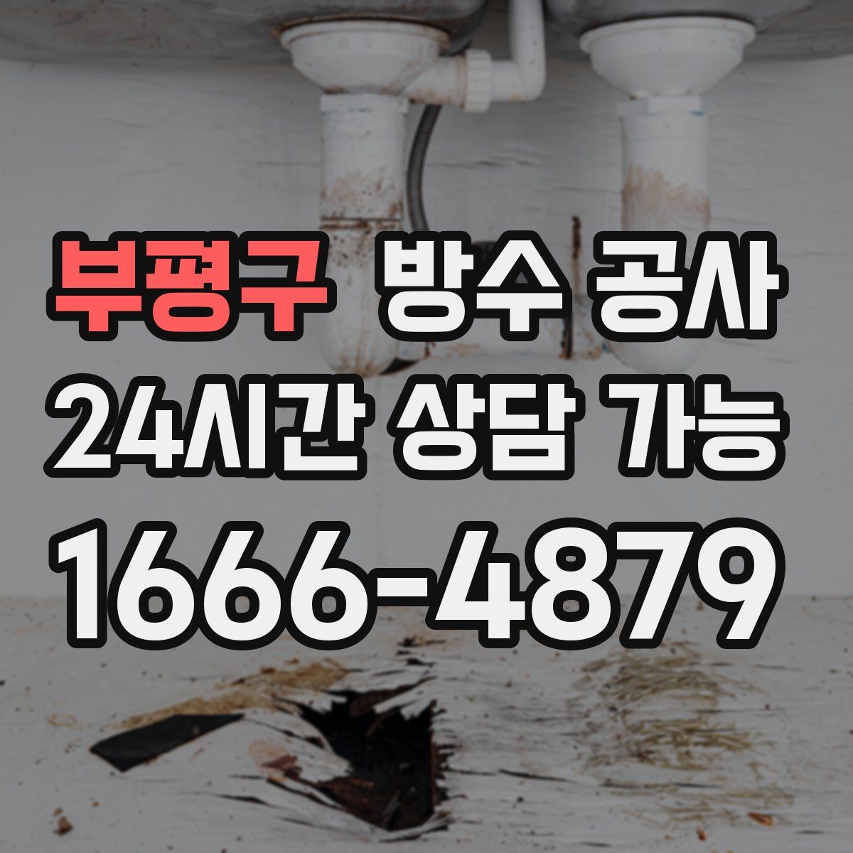 부평구 방수
