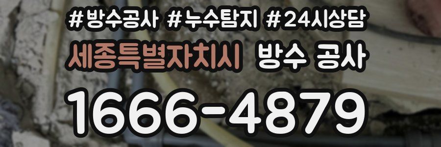 세종특별자치시 방수 공사