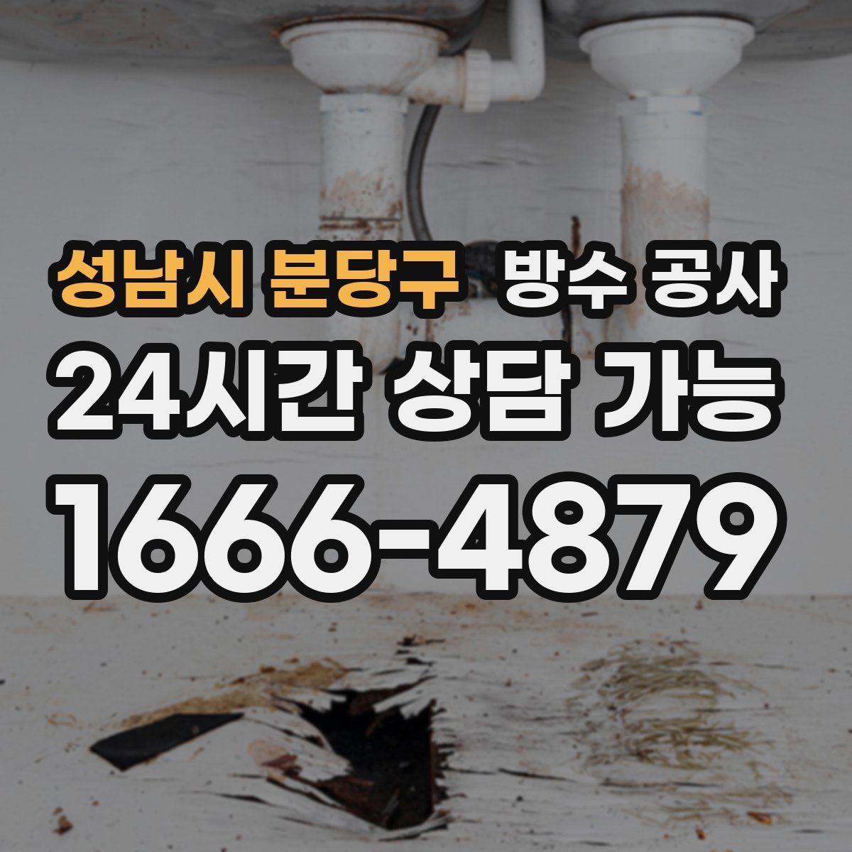성남시 분당구 방수