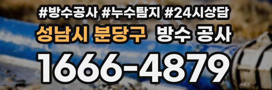 성남시 분당구 방수 공사