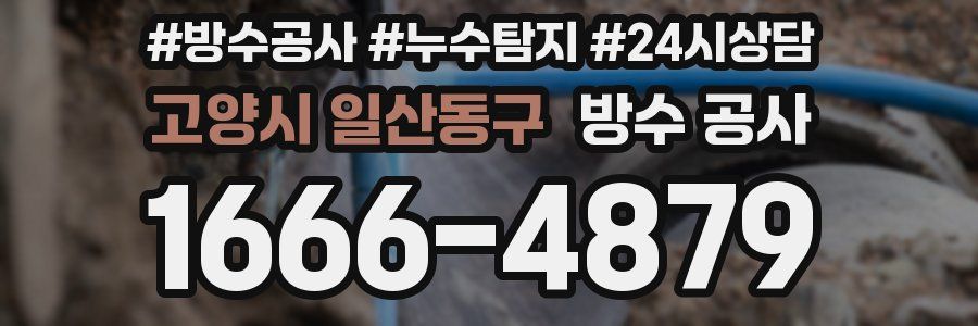 고양시 일산동구 방수 공사
